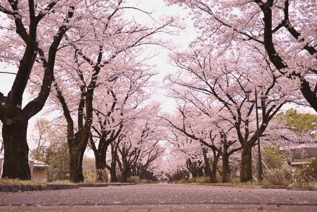 ⽣命保険のポイント